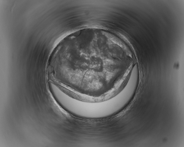 X0000115021141200911231244