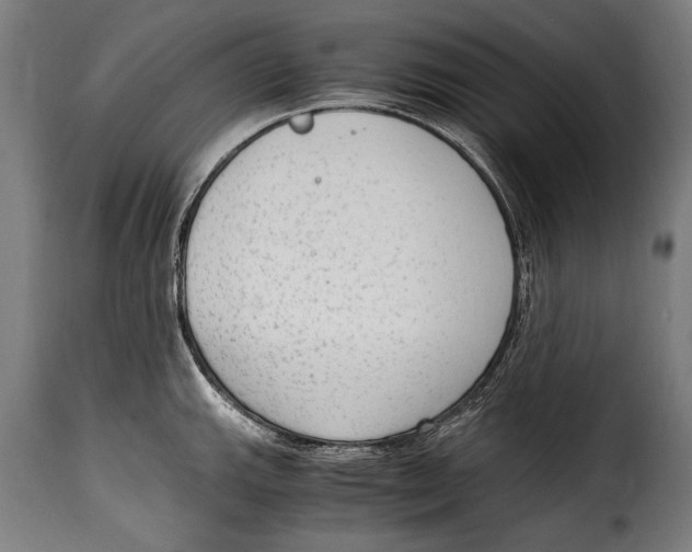 X0000115021143200911231244