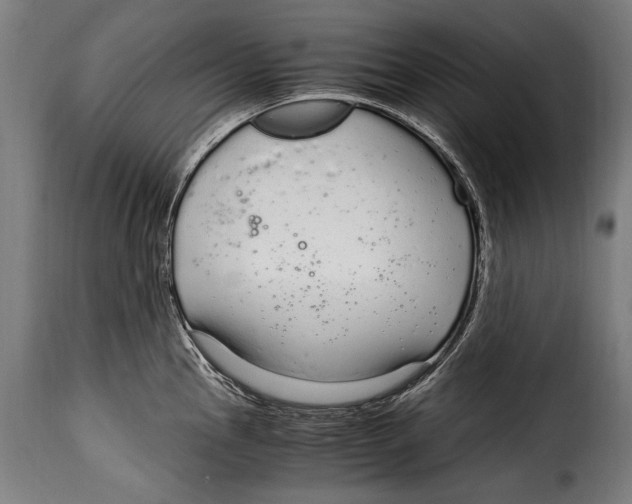 X0000115021145200911231244