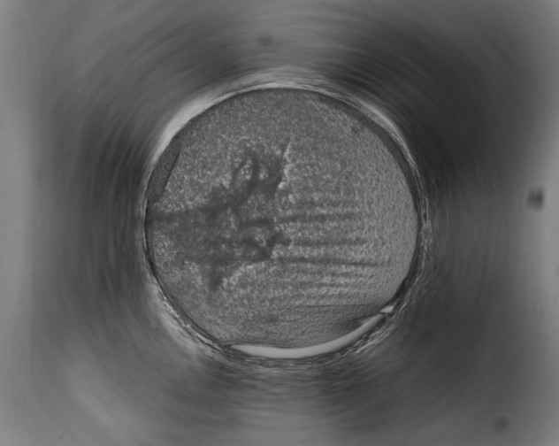 X0000115021146200911231244