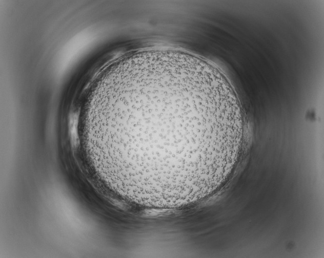 X0000115021150200911231244