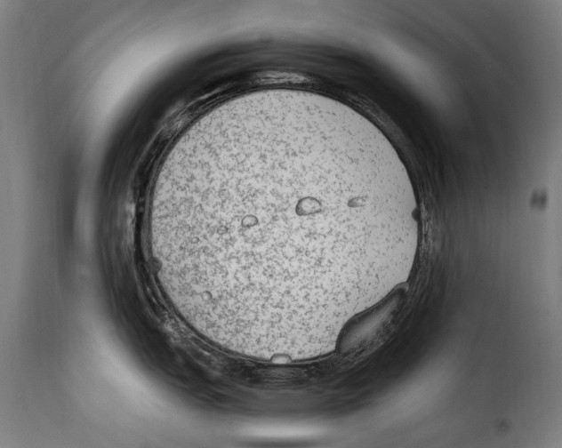 X0000115021151200911231244