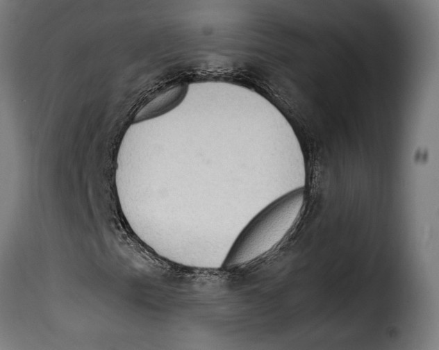 X0000115021153200911231244