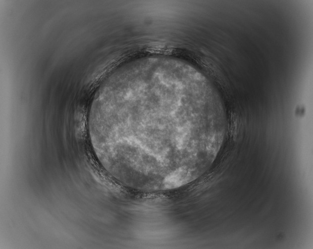 X0000115021154200911231244