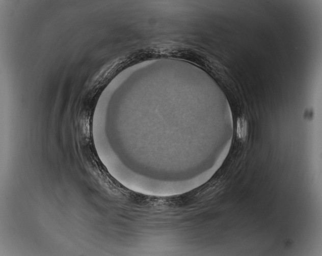 X0000115021155200911231244