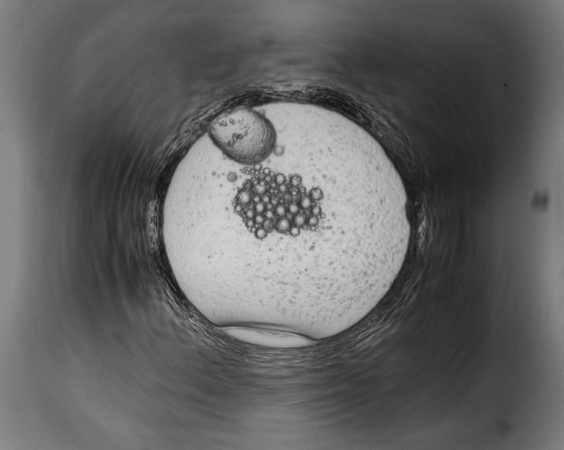 X0000115021156200911231244