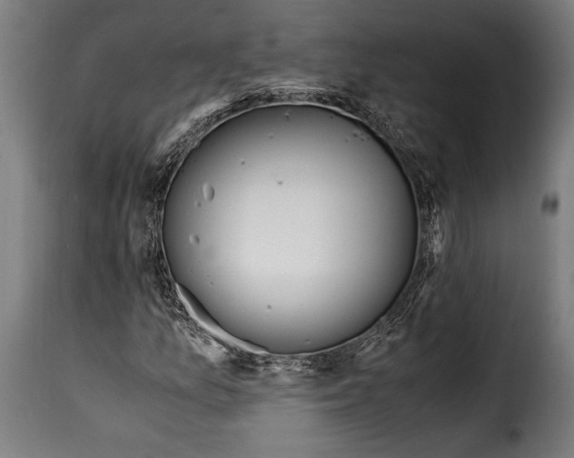 X0000115021157200911231244