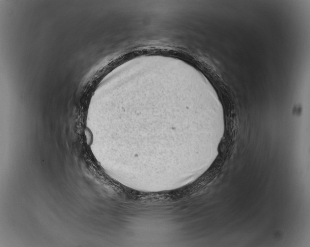 X0000115021159200911231244