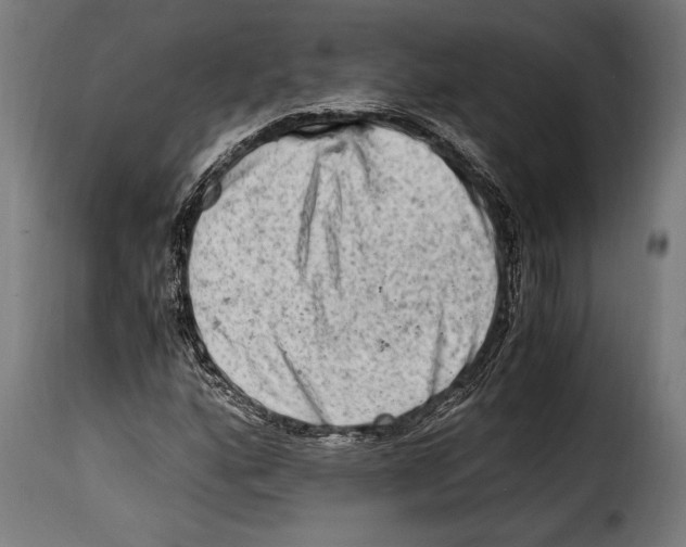 X0000115021160200911231244