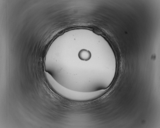 X0000115021161200911231244