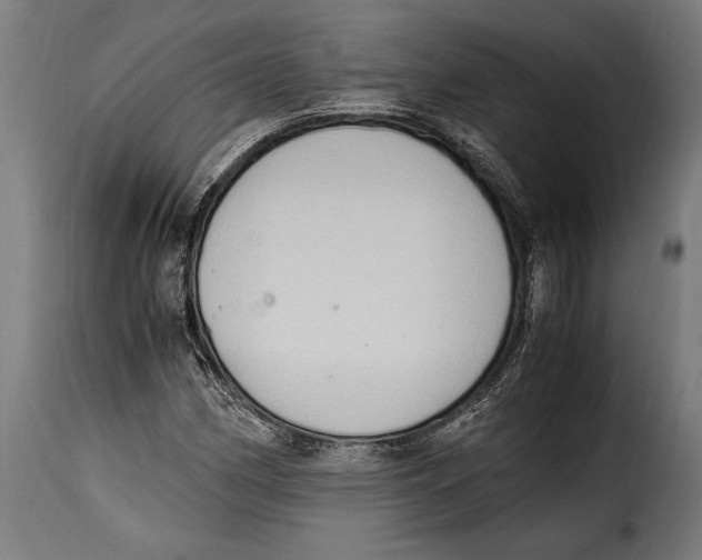 X0000115021162200911231244