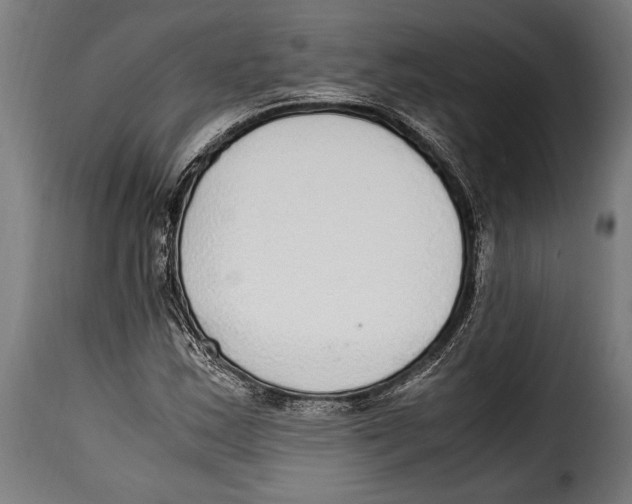 X0000115021163200911231244