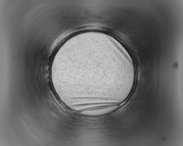 X0000115021164200911231244