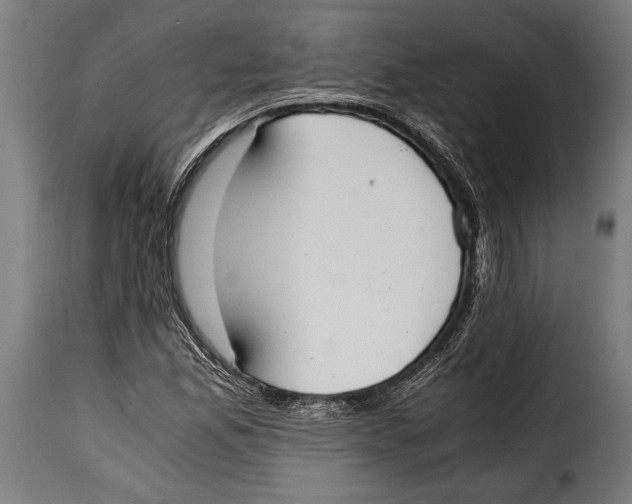 X0000115021165200911231243