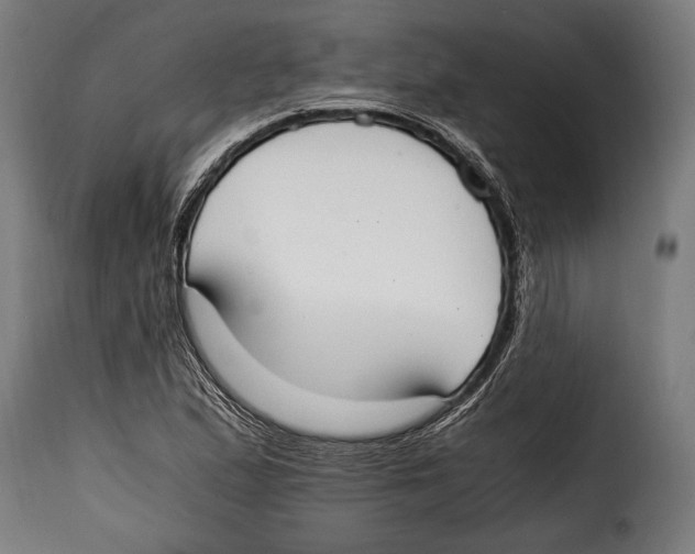 X0000115021167200911231243