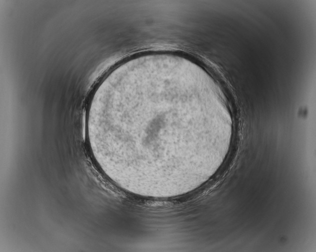 X0000115021171200911231243