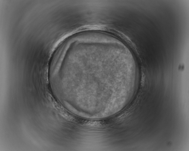 X0000115021174200911231243