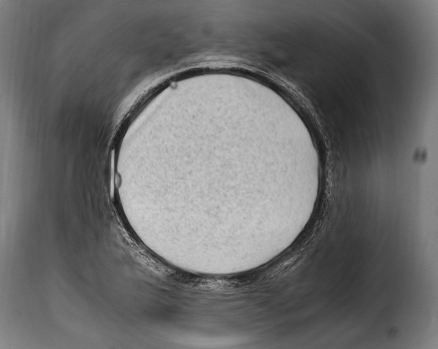 X0000115021175200911231243