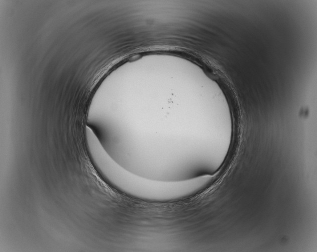 X0000115021177200911231243