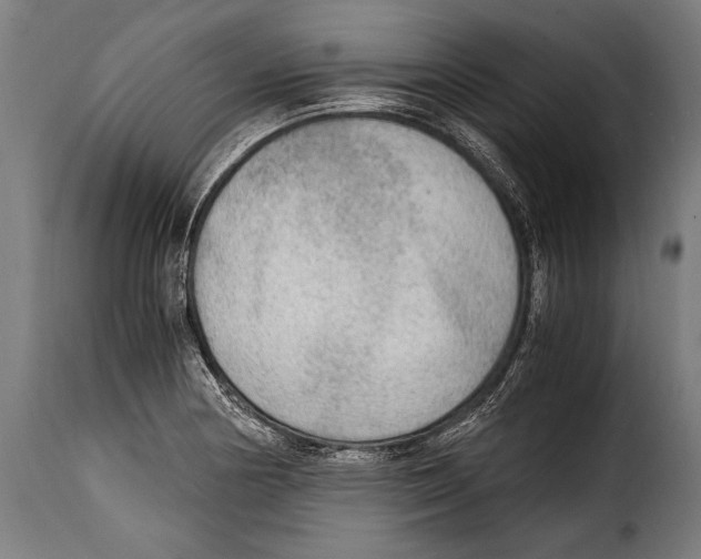 X0000115021178200911231243