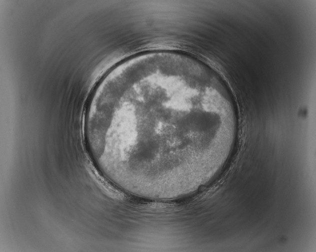 X0000115021179200911231243