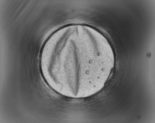 X0000115021183200911231243