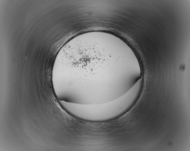 X0000115021185200911231243