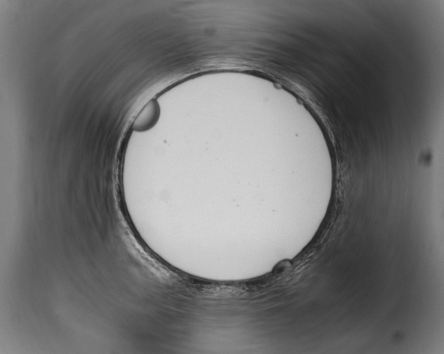 X0000115021187200911231243