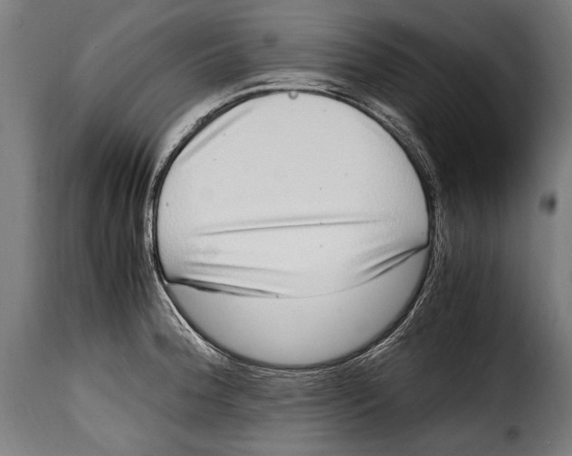 X0000115021188200911231243