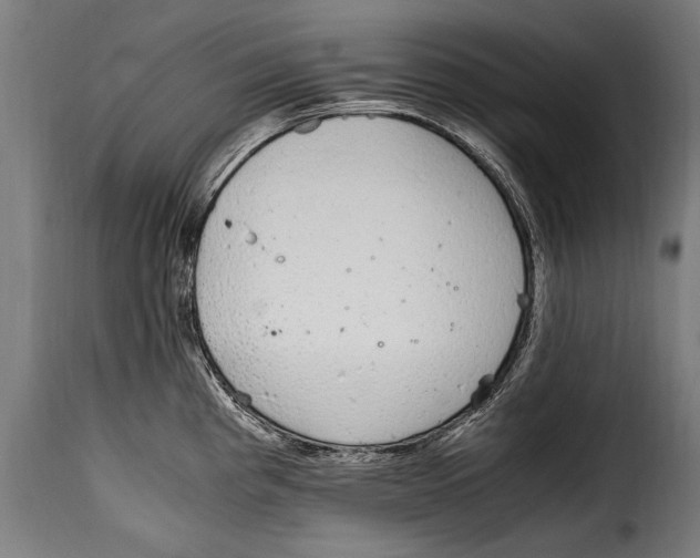 X0000115021193200911231243