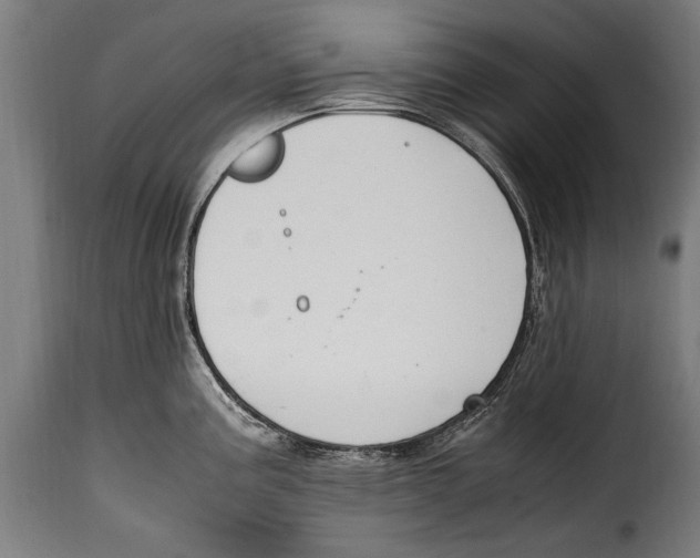 X0000115021195200911231243