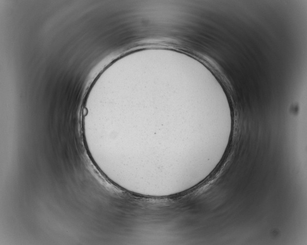 X0000115021196200911231243