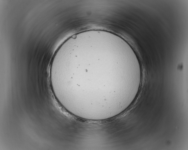 X0000115021198200911231243