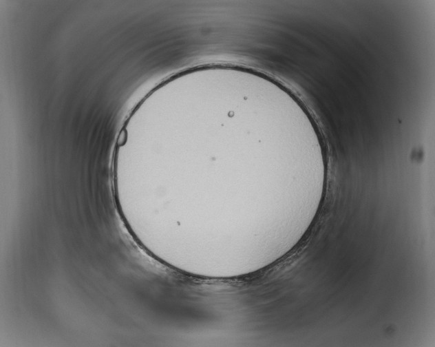 X0000115021199200911231243