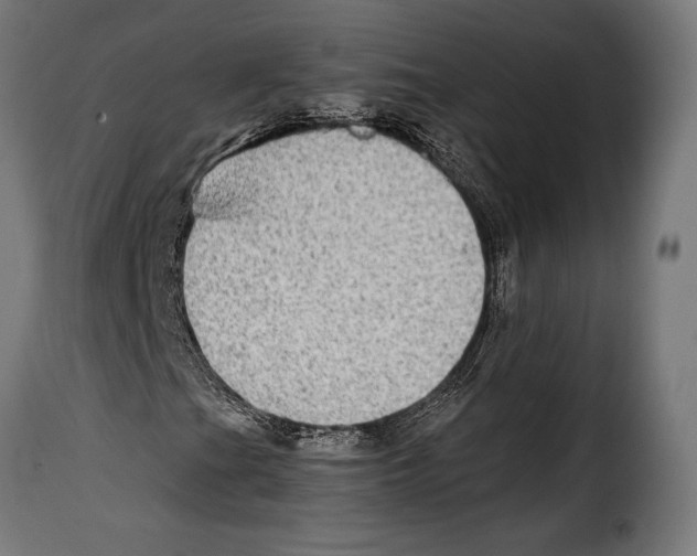 X0000115021201200911231242