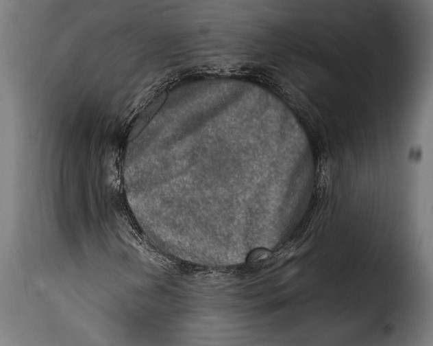 X0000115021202200911231242