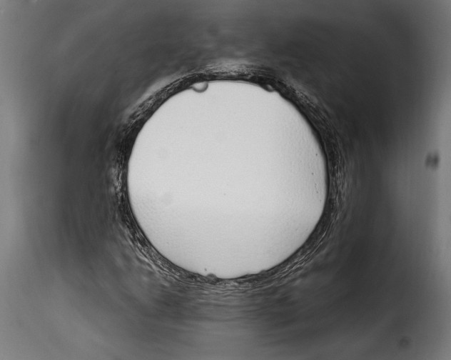 X0000115021206200911231242