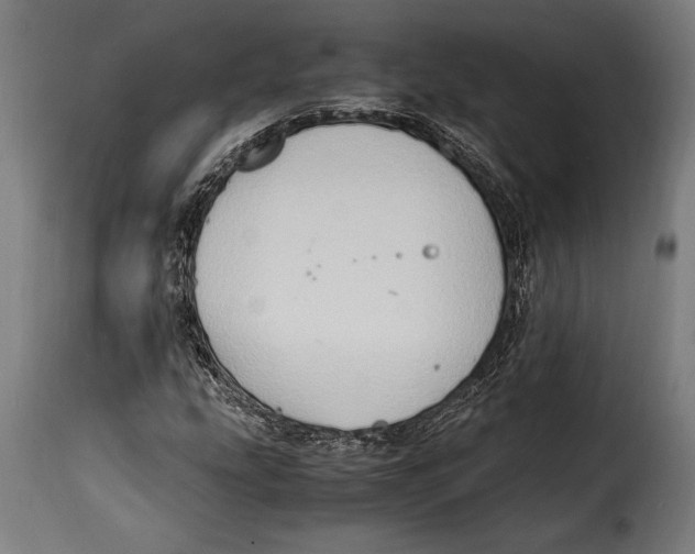 X0000115021207200911231242