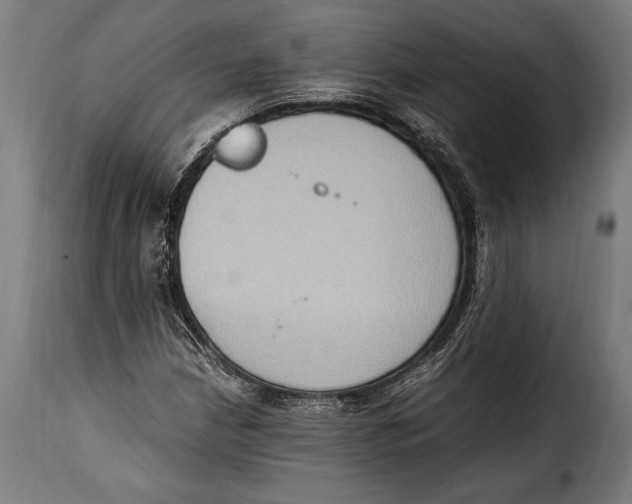 X0000115021210200911231242