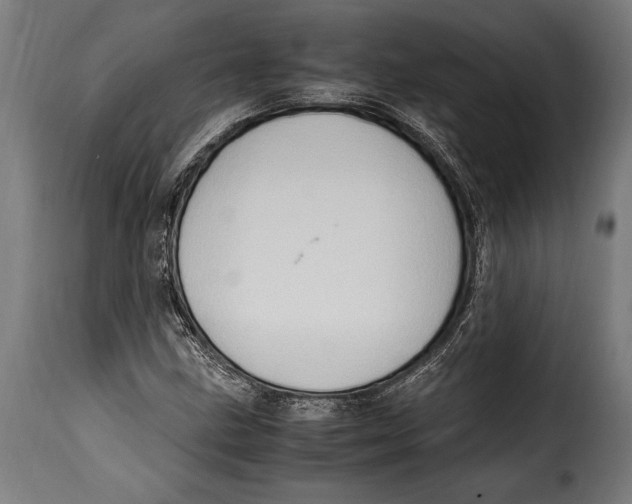 X0000115021211200911231242