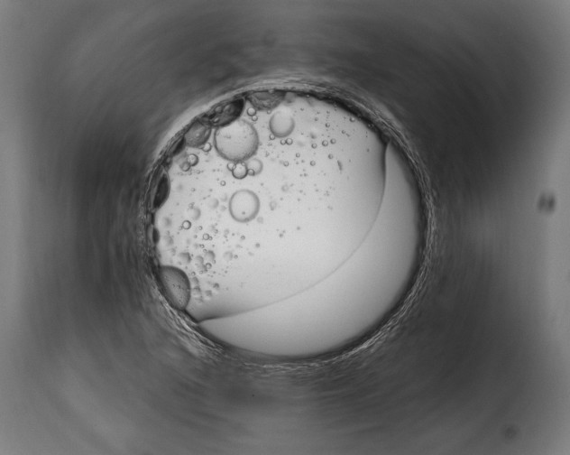 X0000115021216200911231243