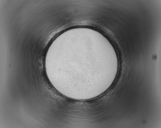 X0000115021218200911231243