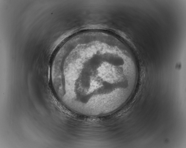 X0000115021221200911231243