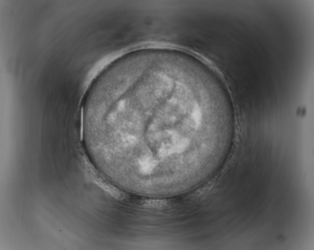 X0000115021223200911231243