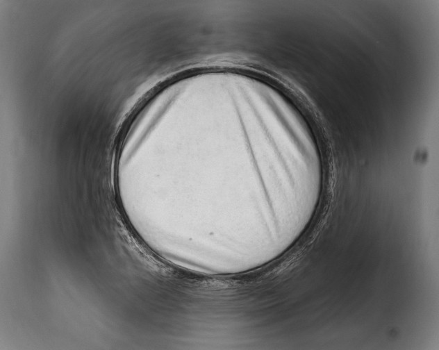 X0000115021224200911231243