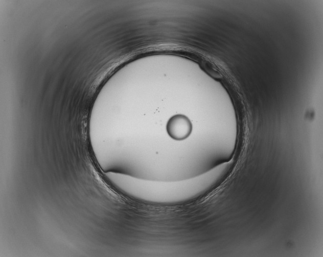 X0000115021225200911231243