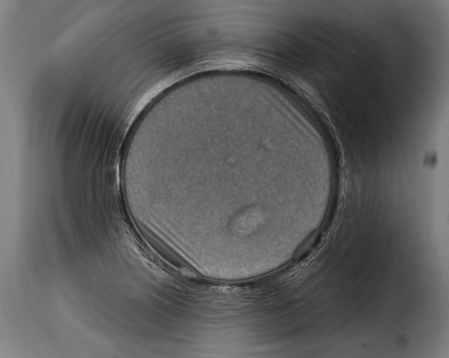 X0000115021226200911231243