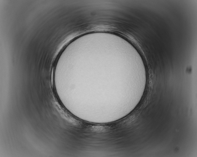 X0000115021227200911231243