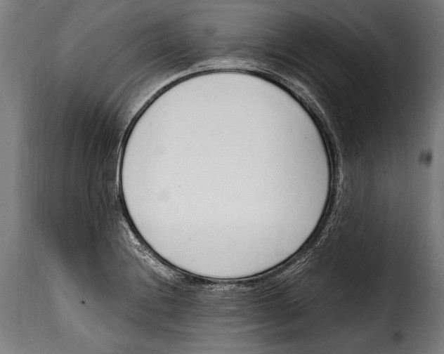 X0000115021228200911231243