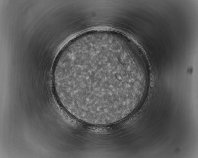 X0000115021229200911231243